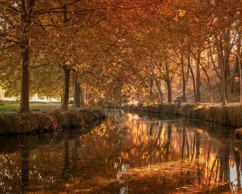 Organización de un espacio de trabajo cómodo e iluminado